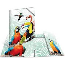Herma Collector's Folders A4 Parrot Set 3 Pieces