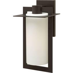 Hinkley 2925 19.25" the Wall Light