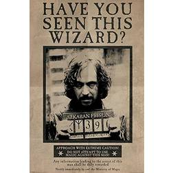 Pyramid International Harry Potter Wanted Sirius Affiche 61x91.5cm