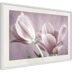 Artgeist Affisch Pink Tulips Poster