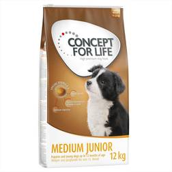 Concept for Life Medium Junior Ekonomipack: 2