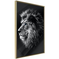 Artgeist Affisch Blue-eyed Lion 30x45 Poster