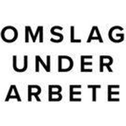 Det blå (Ljudbok)