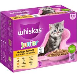 Whiskas Junior Buste 48 x 85 g Alimento Umido Per Gatti