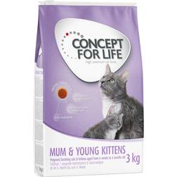 Concept for Life Mum & Young Kittens 3