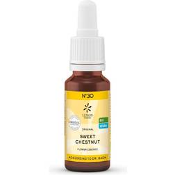 Hager Pharma Bachblomster Ægte Kastanie Sweet Chestnut