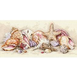 Dimensions Dimensions/Gold Petite Counted Cross Stitch Kit 8"X4"-Seashell Treasures 18 Count