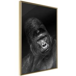 Artgeist Affisch Gorilla 20x30 Poster