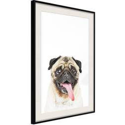 Artgeist Affisch Pug 30x45 Poster