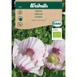 Weibulls Frø, Øko valmue Blomsterfrø