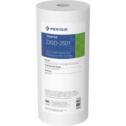 Pentair Pentek DGD-2501 Big