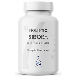 Holistic in Siboba 60 Kapselia