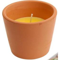 Bougie Citronnelle + Pot Terre Cuite Marron 8 x 6 cm