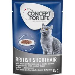 Concept for Life 20 + 4 gratis! 24 85 British Shorthair Ragout