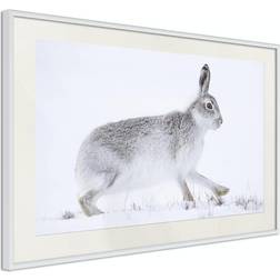 Artgeist Affisch Rabbit 90x60 Poster