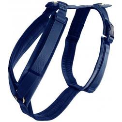 Aucune Active Dog Harness Kentucky Velvet Bleu