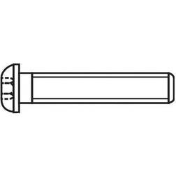 Toolcraft Skruv Linsformad M4 10 mm Set of 100