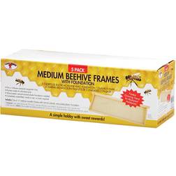 Little Giant Mfg Medium Hive Wood Photo Frame