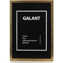 Estancia Gallant
