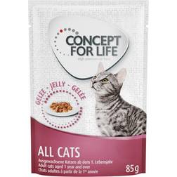 Concept for Life Cats förbättrad Som All Cats