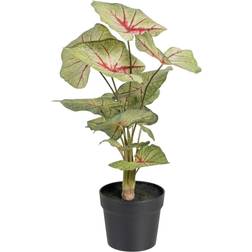 BigBuy Home Dekorativ Kunstig plante