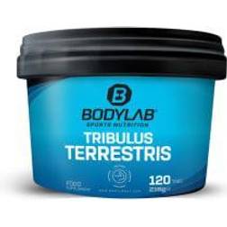 Tribulus Terrestris 120 Tabletten 0.216KG