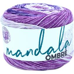 Lion Brand Chi Mandala Ombre Yarn