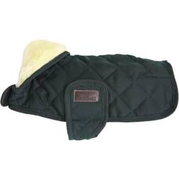 Kentucky Original Dog Coat