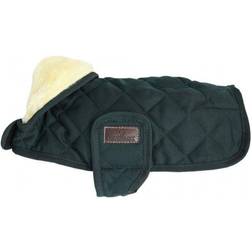 Kentucky Original Dog Coat