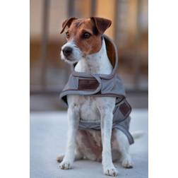 Kentucky Dogwear Cappottini