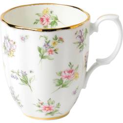 Royal Albert 100 Meadow Mug