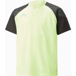 Puma Kinder Fantrikot individualCUP Training Jersey jr