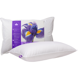 & Feather Bed Down Pillow