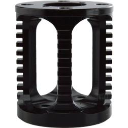 Phaetus Phaetus Dragon Heat Sink