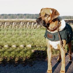 Kentucky Cappotto Per Cani Dogwear Impermeabile