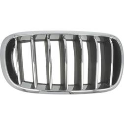 Grille de radiateur BLIC 6502-07-00969944P Droite