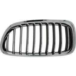 Grille de radiateur BLIC 6502-07-0067997P Gauche