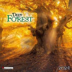 Deep Forest 2024: Kalender 2024