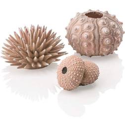 Biorb Sea urchins Natural