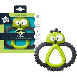 Tommee Tippee Kalani Sensory Maxi Teether Green