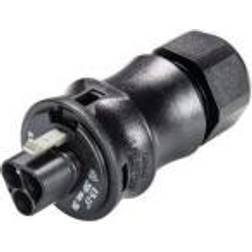 Wieland Electric Rundstik Stik 96.032.0053.1