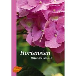 Hortensien