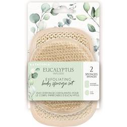 Danielle Eucalyptus Exfoliating Body Sponge Set