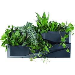 Prosperplast Flowerbed Vertical Garden Set of 4 Krukke