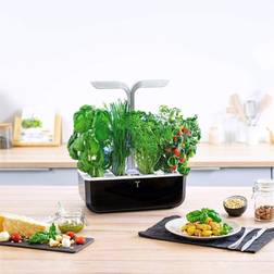 Veritable Potager d'intérieur Smart Soft Black