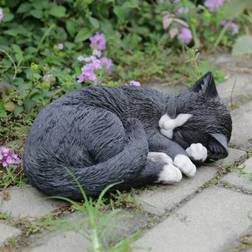 Black/White Cat Sleeping Lying Down Multi