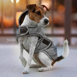 Kentucky Dogwear Cappottini