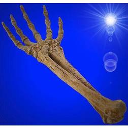 Aqua Della Skeleton Hand Aquarium Decoration 26.8 x 9.4 x 4.5 cm