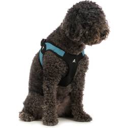 Gooby Escape Free Easy Fit Harness, Small Dog Step-In Escape Their