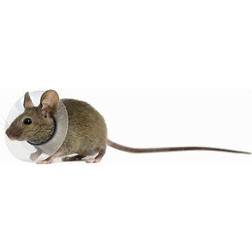 KVP KVP Collar for Rodents 5.75-7.5 cm
